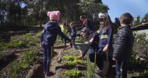 plantando_nas_escolas_1