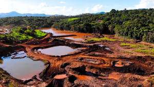 recomeco_brumadinho_pupilo4