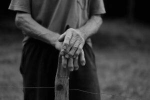 entrelinhas foto maoenxada - pupilotv