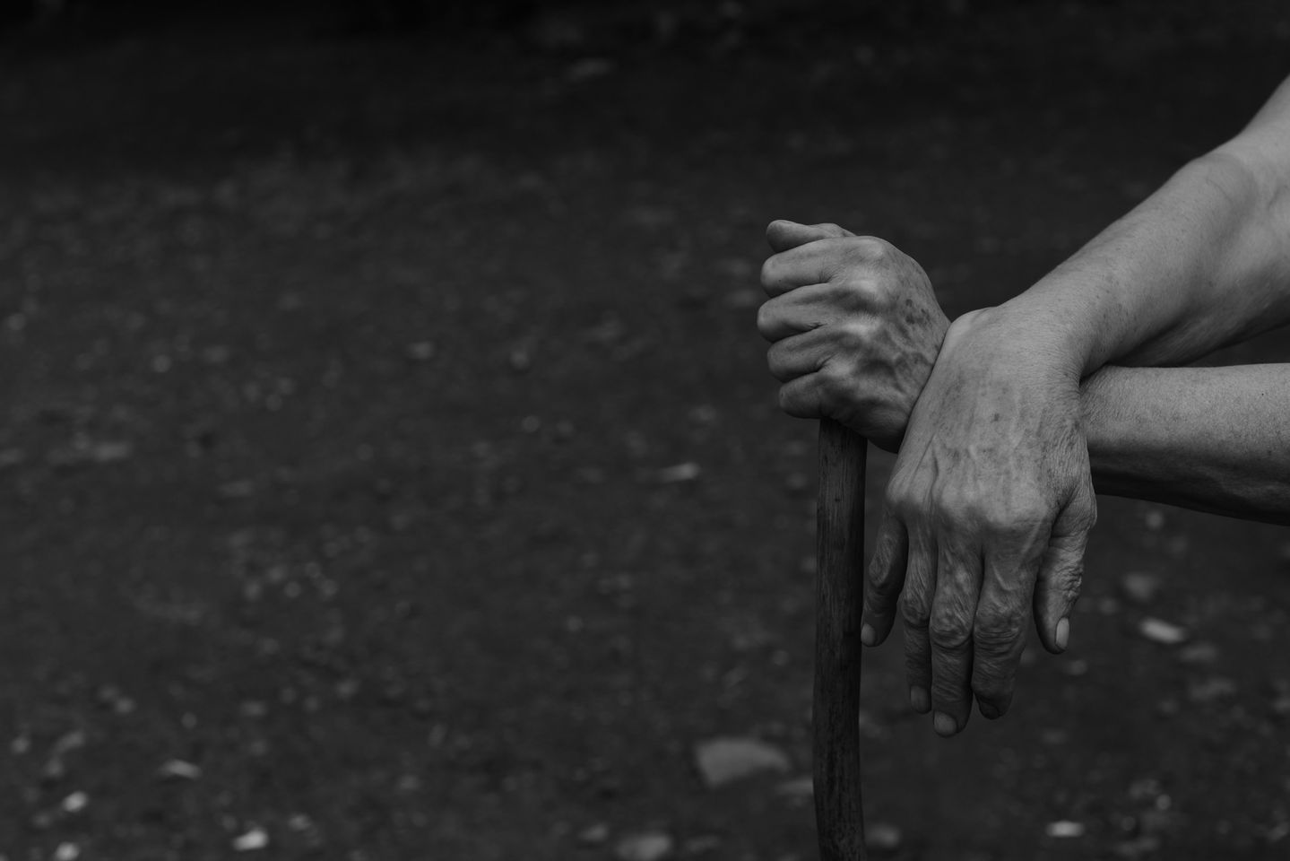 entrelinhas foto maolateral - pupilotv