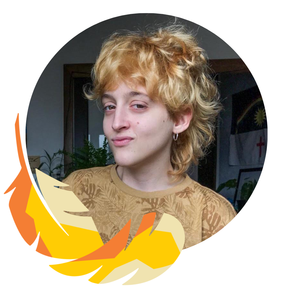 maga designer pupilo tv pupilotech