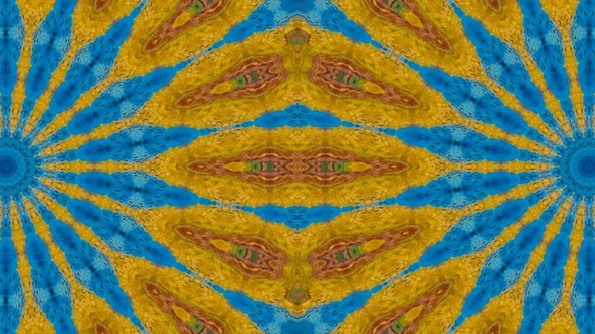 brincando com van gogh pupilo