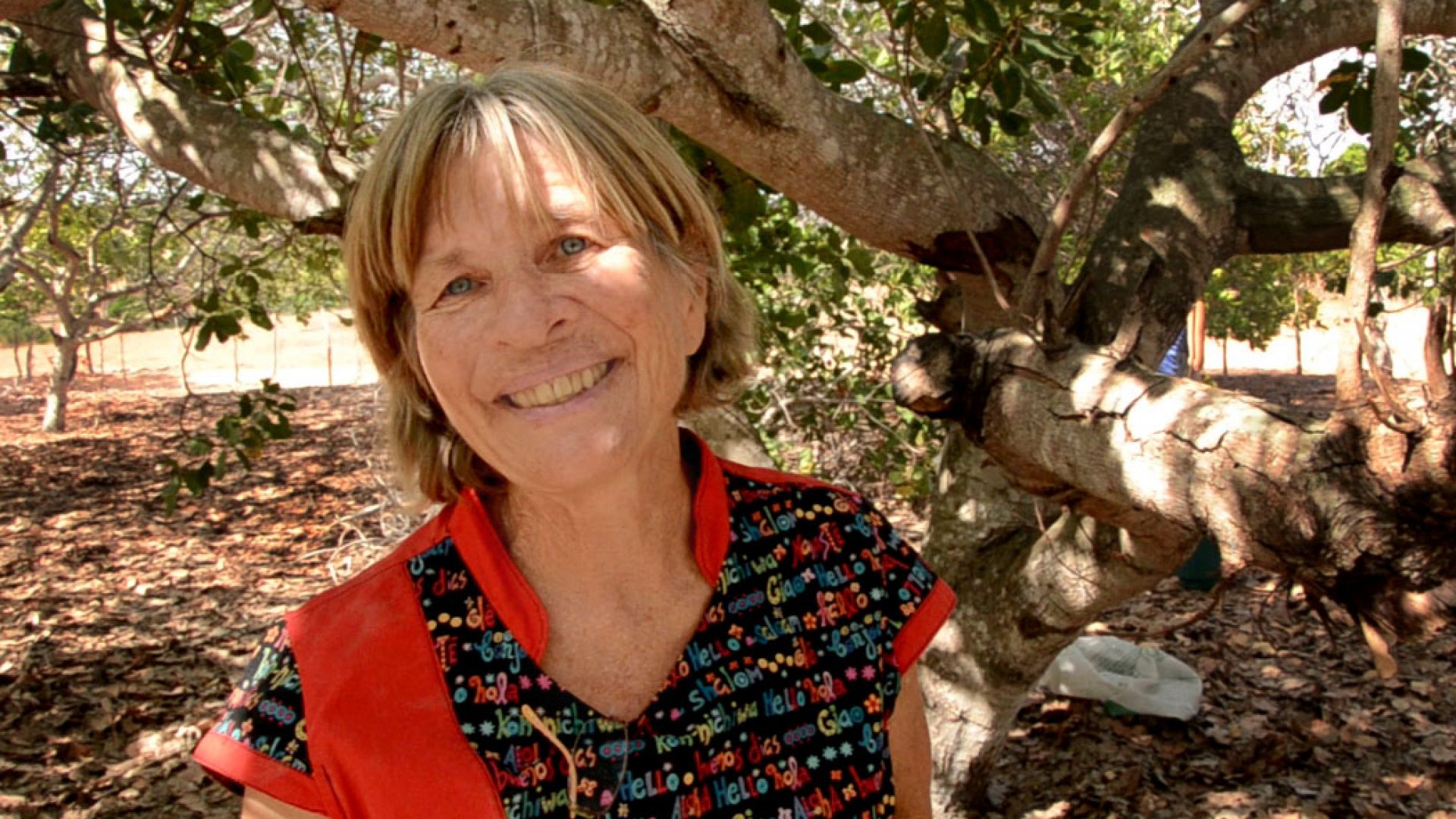 por_que_nao_o_paraiso_pupilo