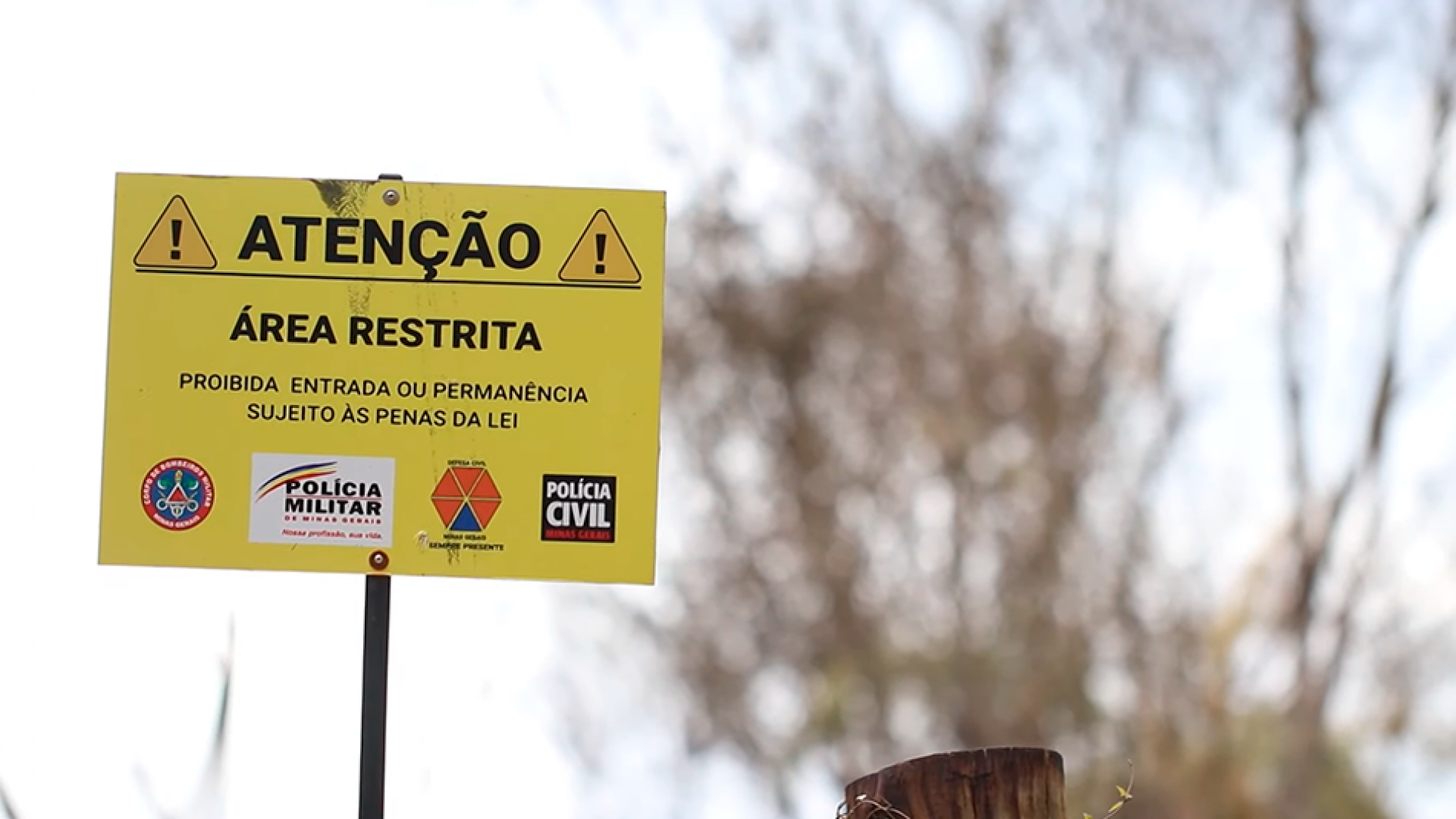 recomeco_brumadinho_pupilo2