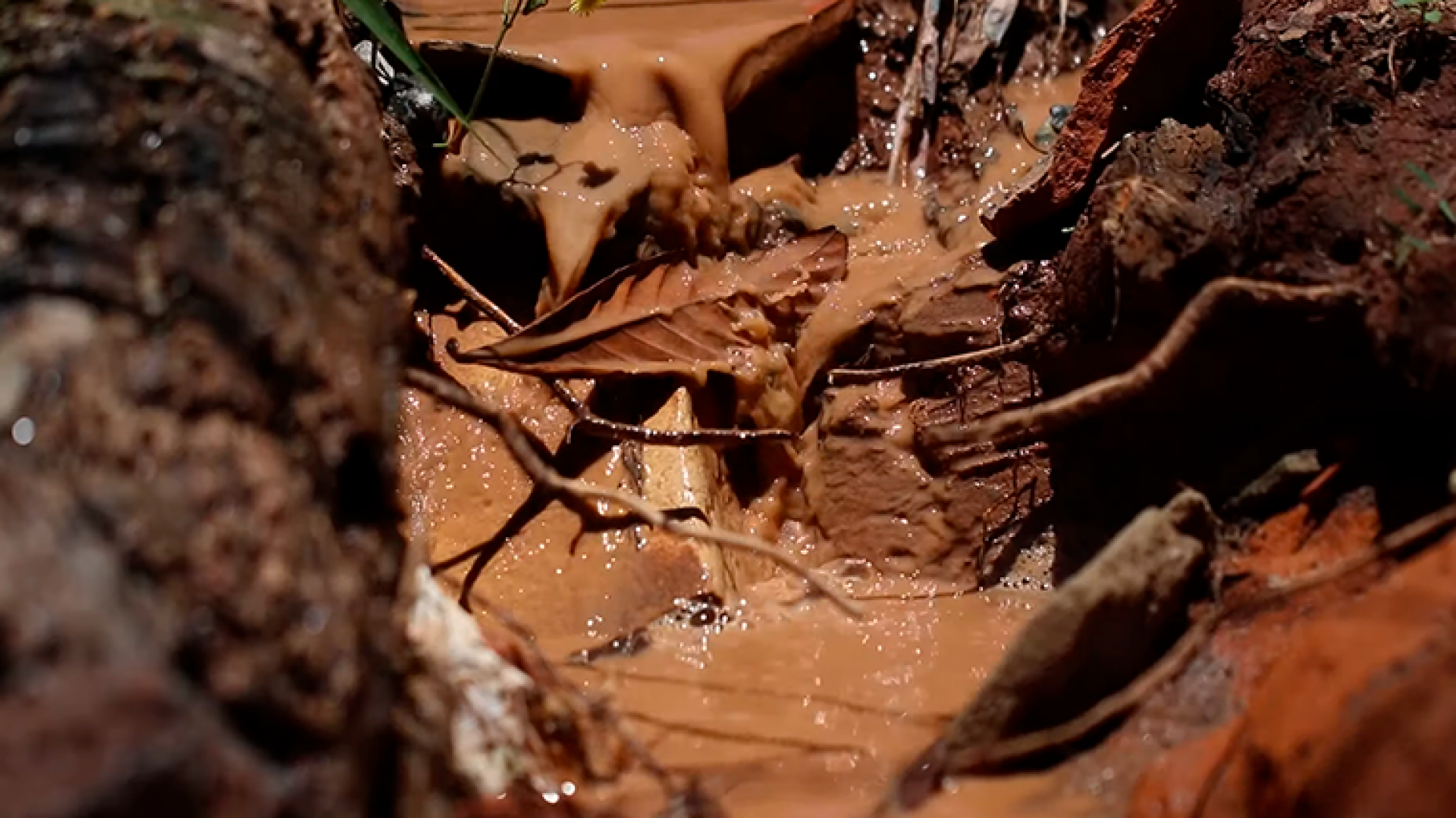 recomeco_brumadinho_pupilo3